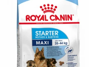 Royal Canin Maxi Starter