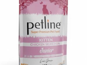 Petline kitten