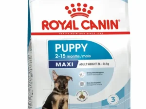 Royal Canin Maxi Puppy