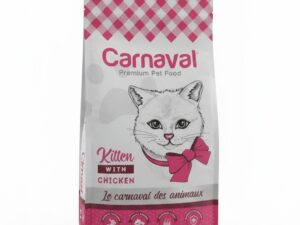 Carnaval kitten