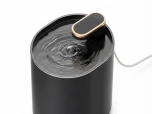 Water Fountain