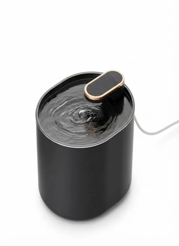 Water Fountain