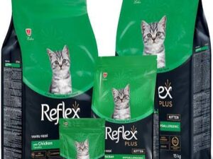 Reflex Plus Kitten